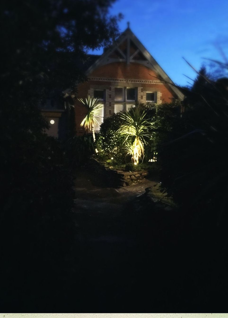 Garden uplighting at dusk